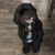 Nikki Cremer's profile image