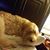 Teri Murray's profile image