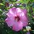Becky-Mike Hanneman's profile image