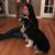 Katie Lotsberg's profile image
