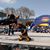 Tigre Mn's profile image