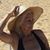 Elizabeth Miranda's profile image