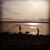Tanya Astbury's profile image