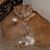 Cheryl Christensen's profile image