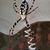 Kristi Reinert Hendrix's profile image