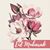 Suhala Khan's profile image