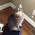 Carol Ackerman's profile image