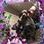 Terri Lawrence-Philpot's profile image