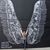 Lee-Ann Losee Arner's profile image
