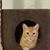 Dawn Ware's profile image