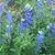 Kristina Brown-Randall's profile image