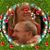 Sue Halls's profile image