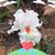Libertad Rodela's profile image