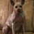 Cindy Ruben Stroupe's profile image