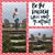 Chikis Bicky Ibarra's profile image