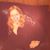 Linda Dufield's profile image