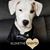 Kathy Van Eck's profile image