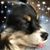 Donna Viola's profile image