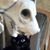 Jennifer Daniels Brown's profile image