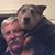 Greg Higgins's profile image