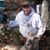 Allen Morris's profile image