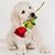 Maria Sanchez's profile image