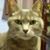 Laura J. Basso's profile image