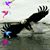 Robert Anderson's profile image