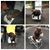 DeDe Drain's profile image