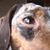 Dan Orr's profile image