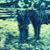 John Shaw's profile image