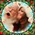 Amy Doggett Ostigny's profile image