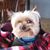 Joel Childrey's profile image