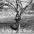 Terrika Brown's profile image
