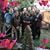 Lori DeWitz Dowhan's profile image
