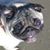Sarah Jane Huggins Smith's profile image