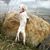 Melissa Renaldi-Cardin's profile image
