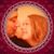 Nora Rios's profile image