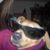 Becky Bise's profile image
