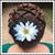 Carrie Martin's profile image