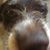 Lorri Rishar Jandron's profile image