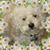 Barri Backer Harges's profile image