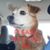 Anita Schack's profile image