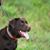 Mary Beth Boland's profile image