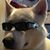David Steinke's profile image