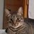 Beth Winn's profile image