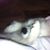 Debbie Pollard's profile image