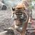 Barbara Kazanjian's profile image