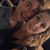 Ashlee Barker's profile image