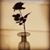 Nena Sai's profile image